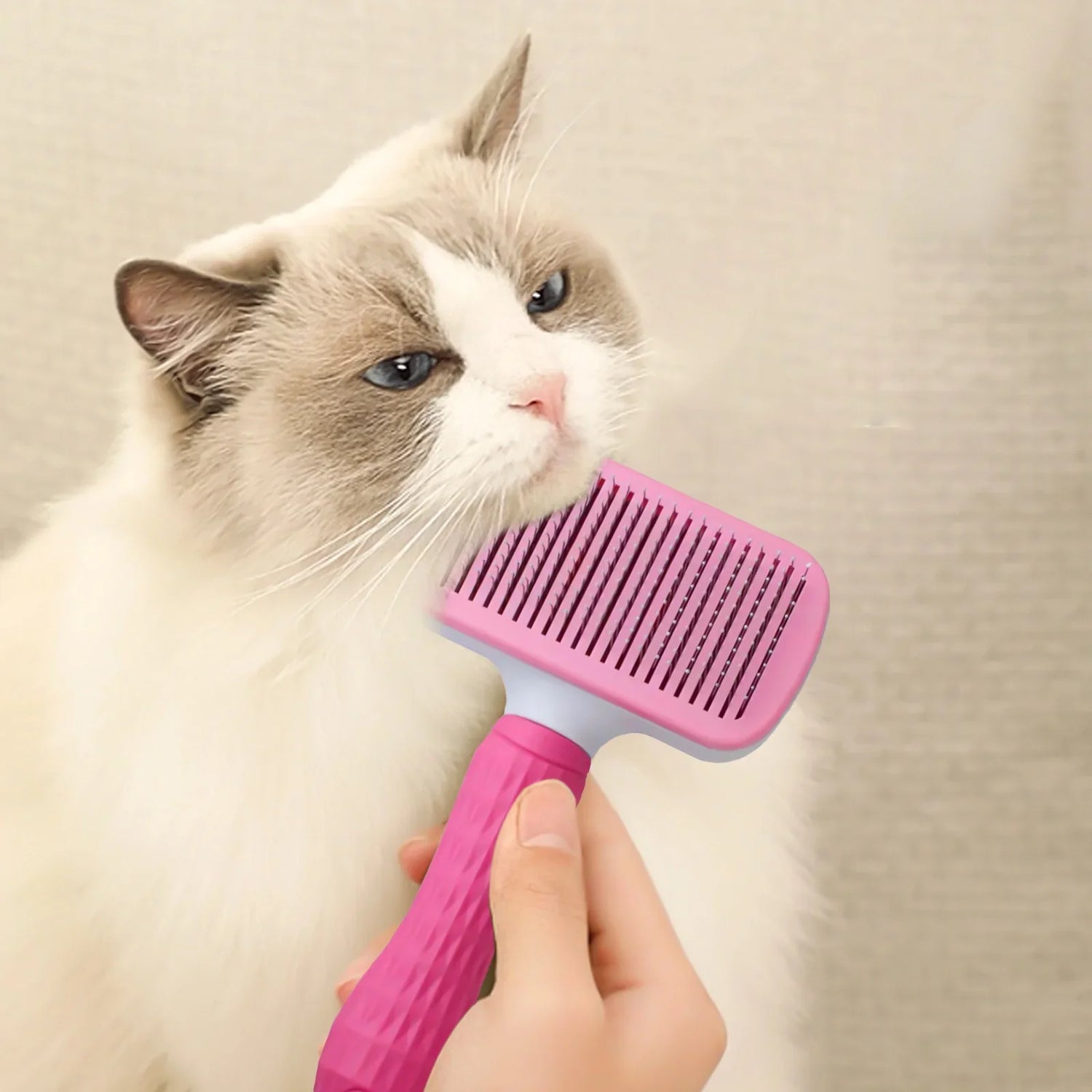 Pet Grooming Supplies