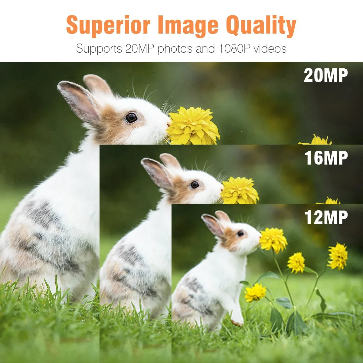 Suntek Mini301 Trail Hunting Camera 24MP 1080P Full HD Video 0.3s Fast Trigger 22PCS 850nm IR LEDs Night Vision IP65 Waterproof Wildlife Scouting Monitor Camera