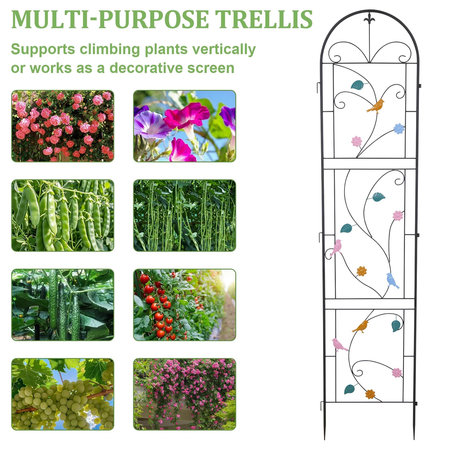 2 Pack Metal Garden Trellis Outdoor Climbing Plant Fence Support